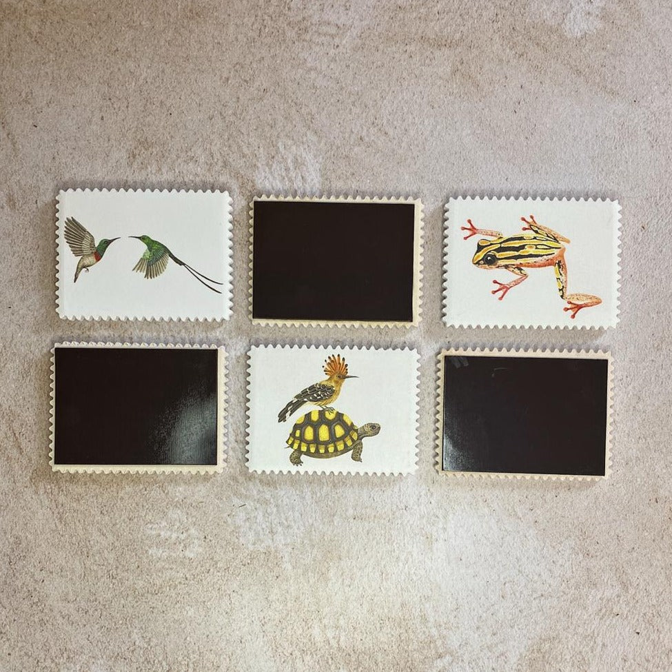 fridge magnets fauna photos animals family