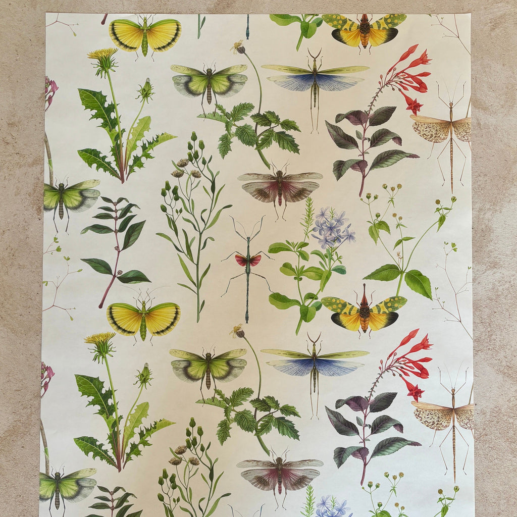 GIFT WRAP WILDFLOWERS