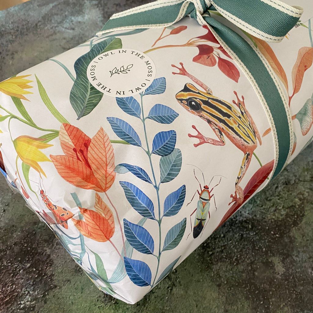 gift wrapping paper fergus the frog