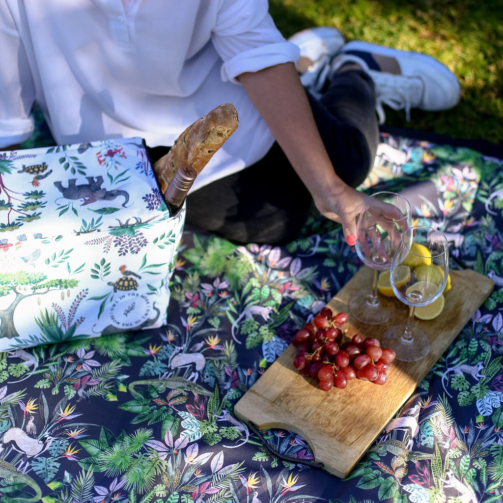 picnic blanket 
