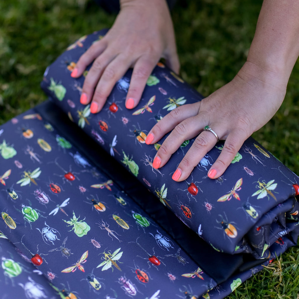 picnic blanket insects