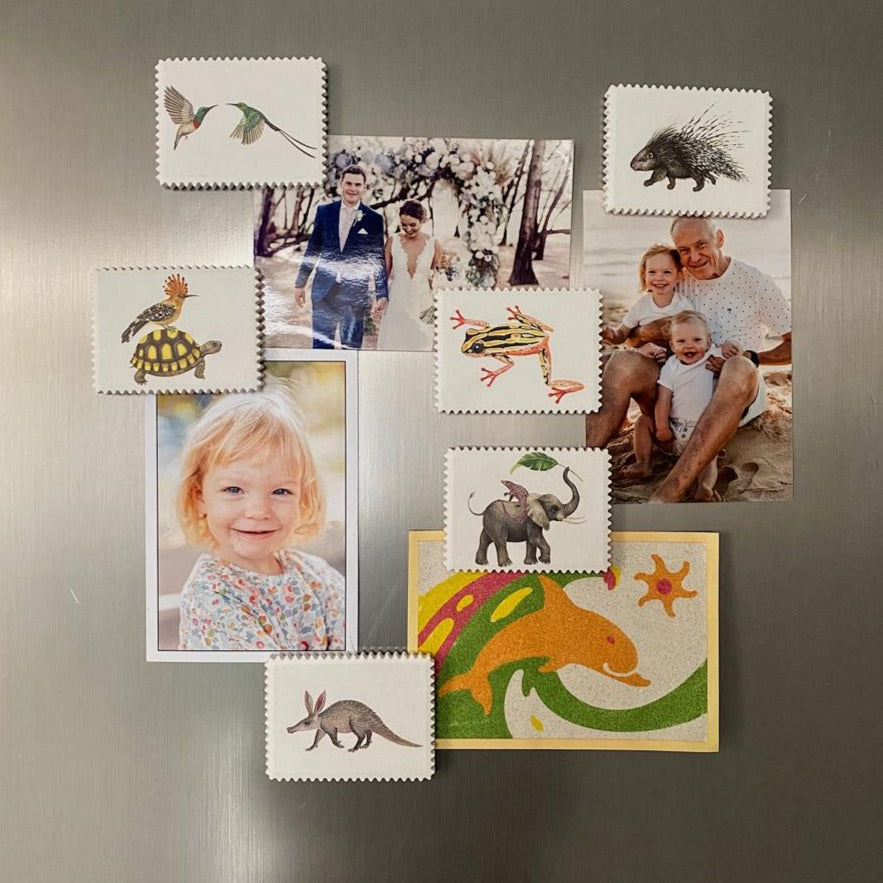 fridge magnets animals 