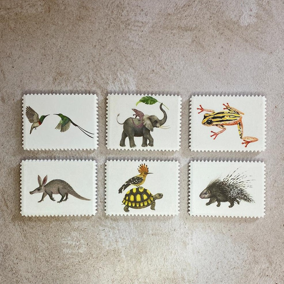 fridge magnets fauna photos animals family