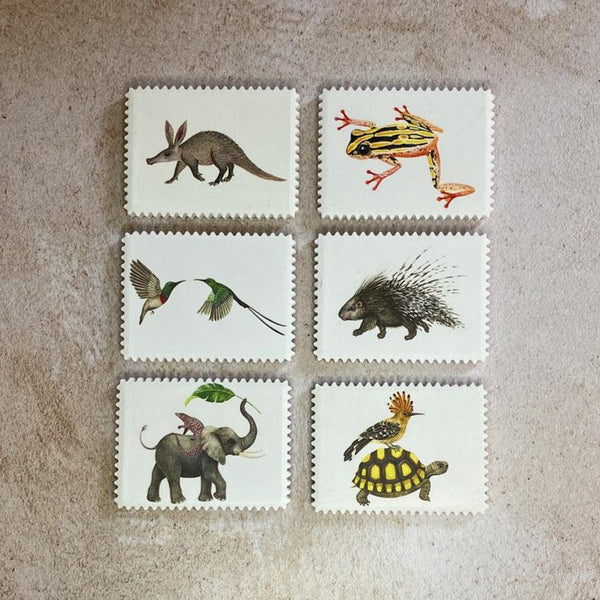 fridge magnets fauna photos animals family