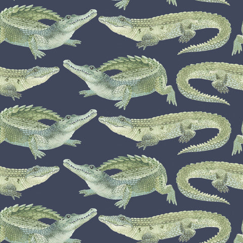 Navy Crocs