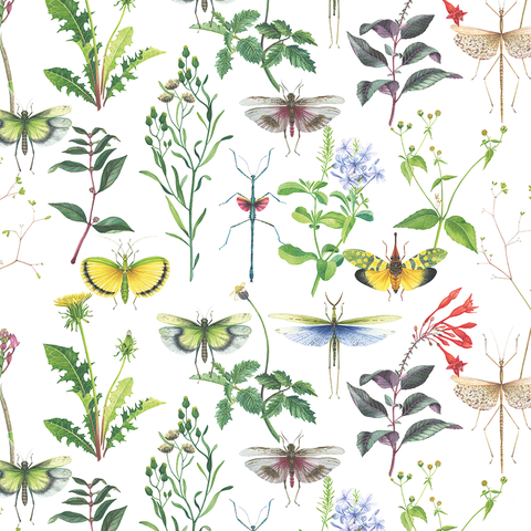 Wildflowers