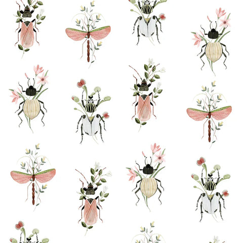Split Beetles