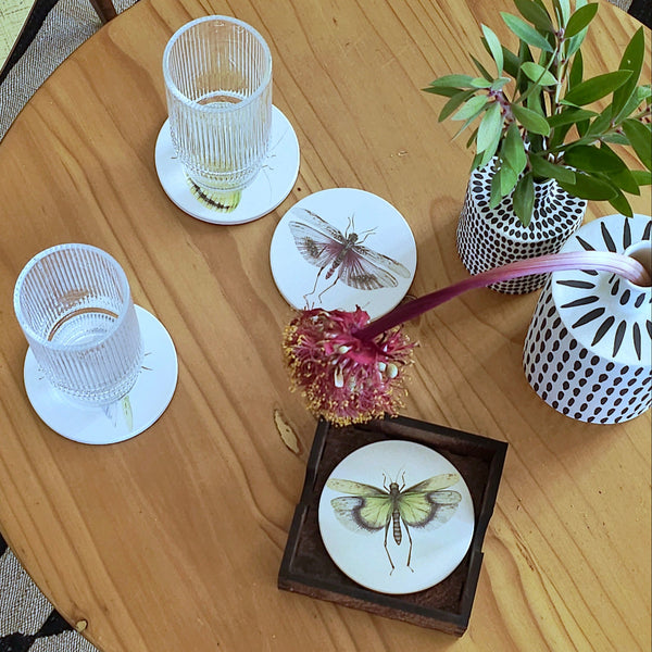 drinks coasters insects 