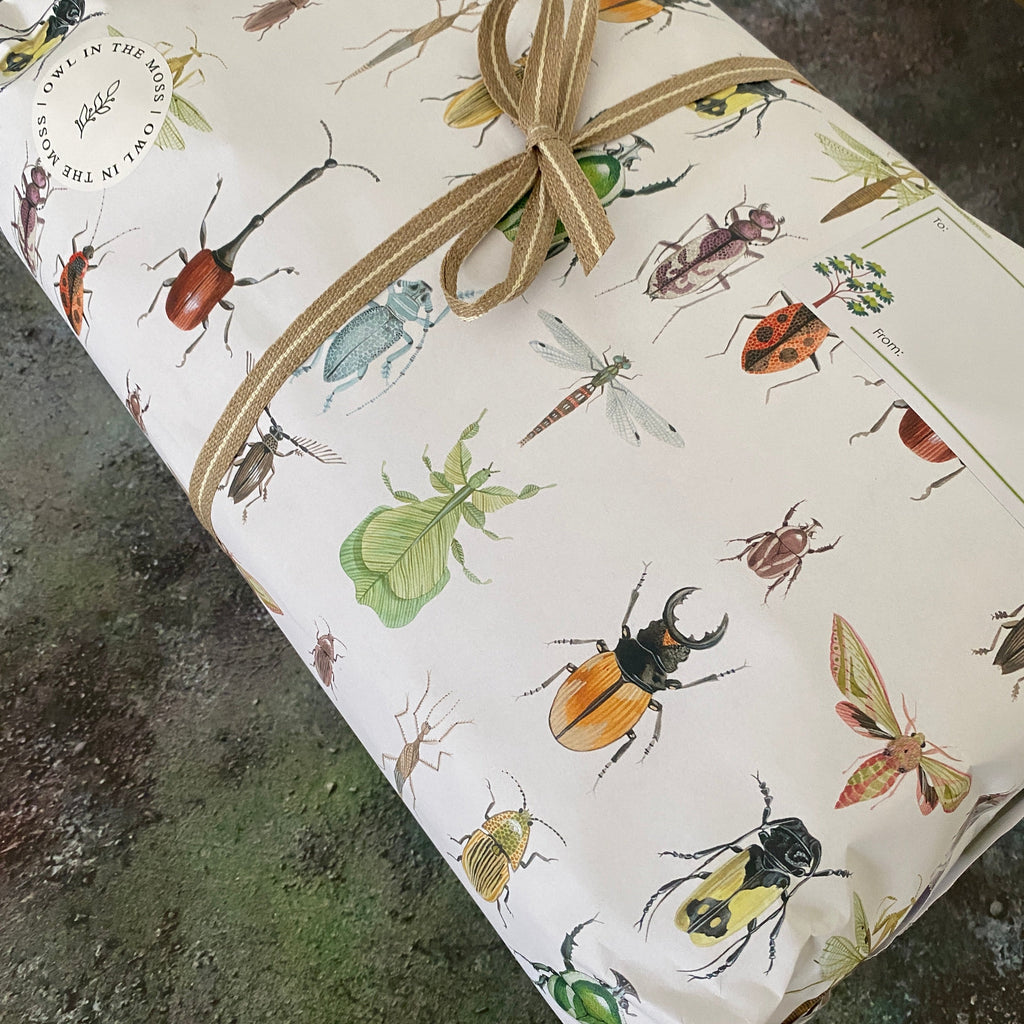 gift wrapping paper insects 