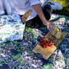 picnic blanket family wild animals 