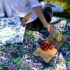 picnic blanket