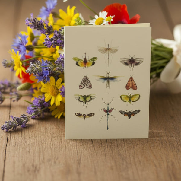 card set African animals ivory paper gift card for easy gifting animal designs African art hand-drawn nature blank card