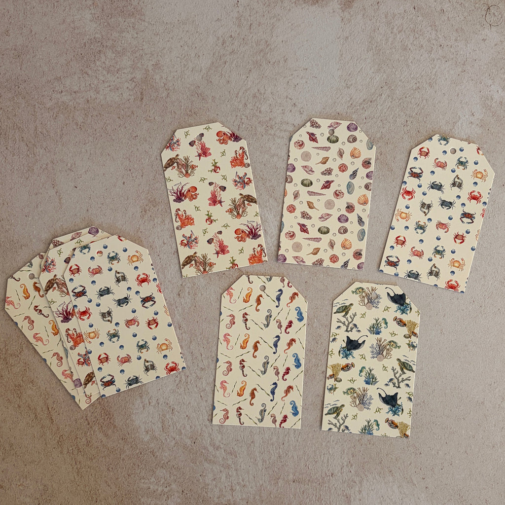 Luxury ivory paper gift tags inspired by coastal  wonders. Pack of 10 blank gift tags with twine.