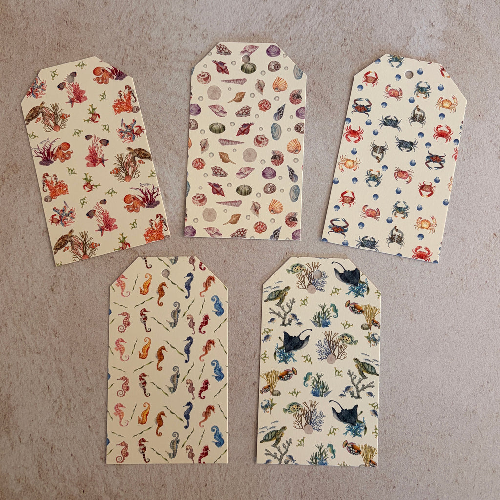 Luxury ivory paper gift tags inspired by coastal  wonders. Pack of 10 blank gift tags with twine.