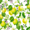 lemon design 