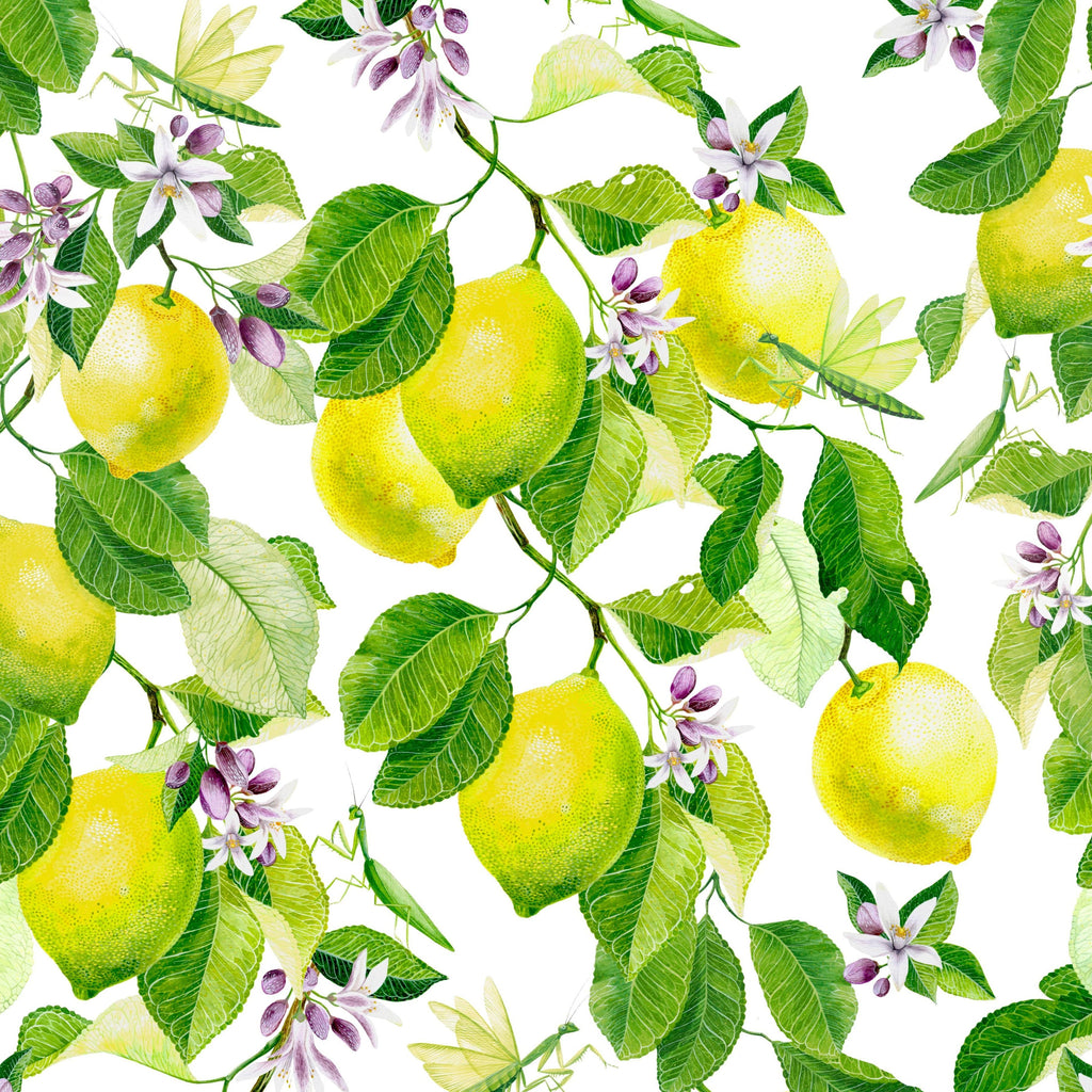 lemon design 